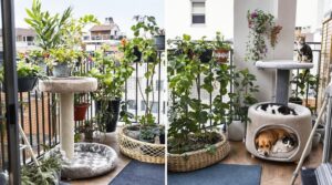 pet friendly balcony design